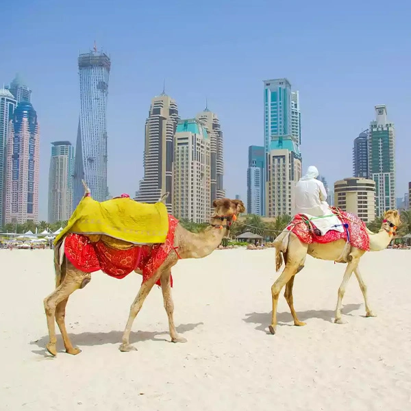 Best Passenger Transportation Company in Dubai