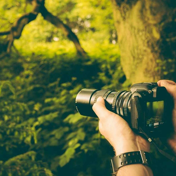 Best Passenger Transportation Company in Dubai